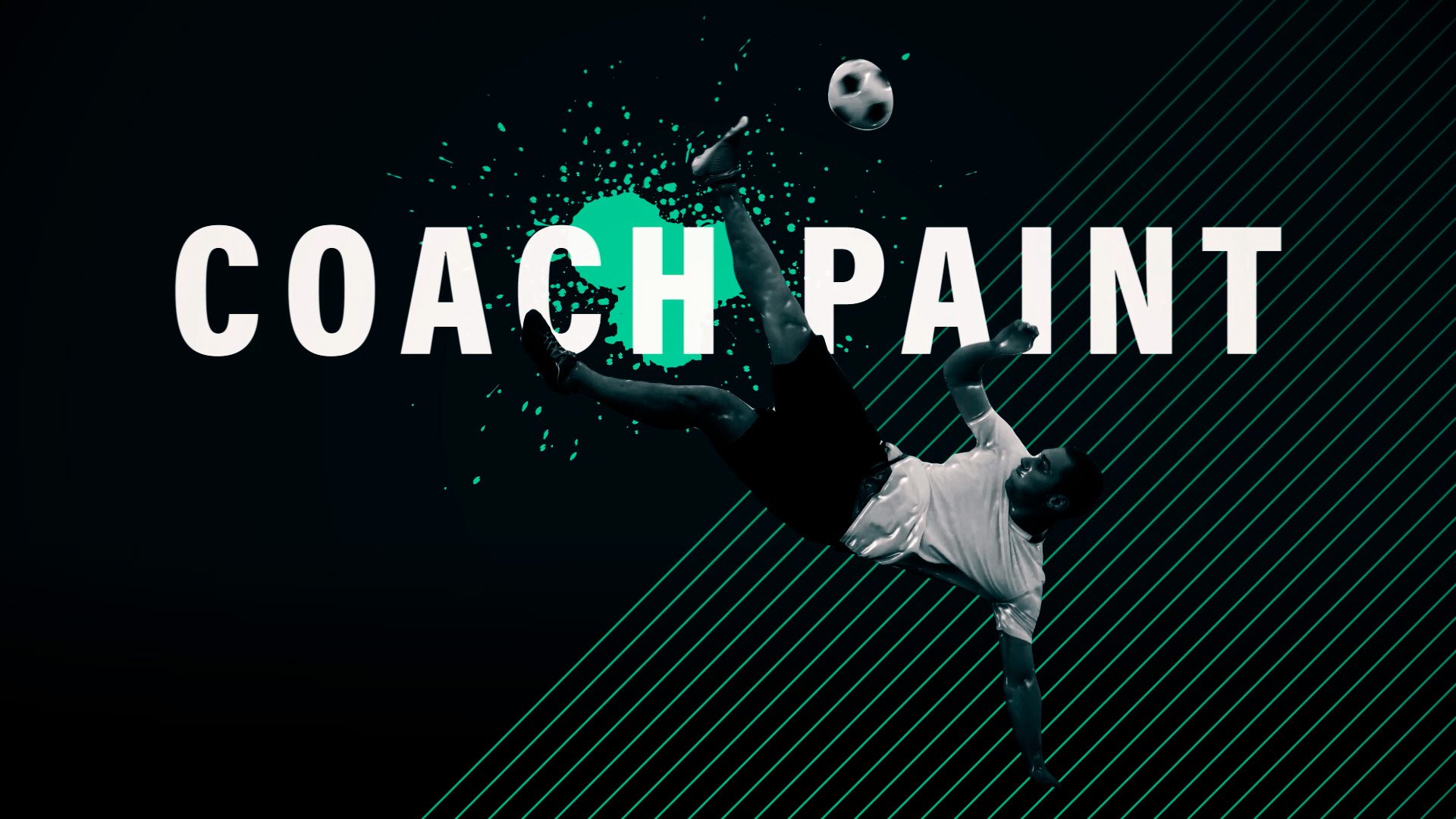preview coach paint video